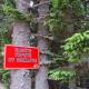 Областният управител издаде заповед за определяне на пожароопасния сезон в горските територии на област Пазарджик